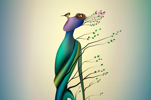 The Power of Acceptance: Stop Resisting and Find the Lesson