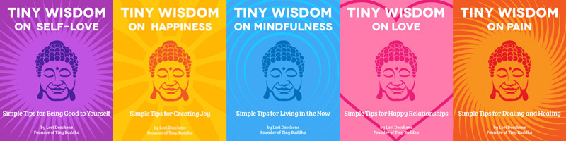 Tiny Wisdom Covers