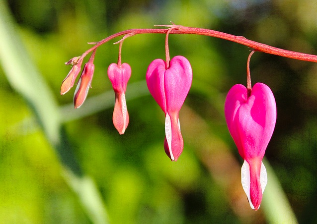 See the Love Around You and You’ll Feel More Love Within You