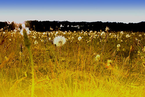 50 Amazing Gifts from Living In The Now