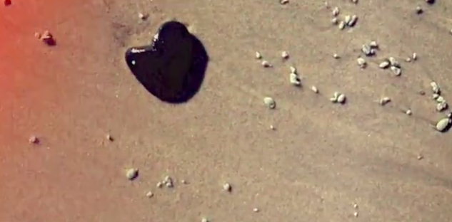 Finding Love: A Video About Seeing What We Look For