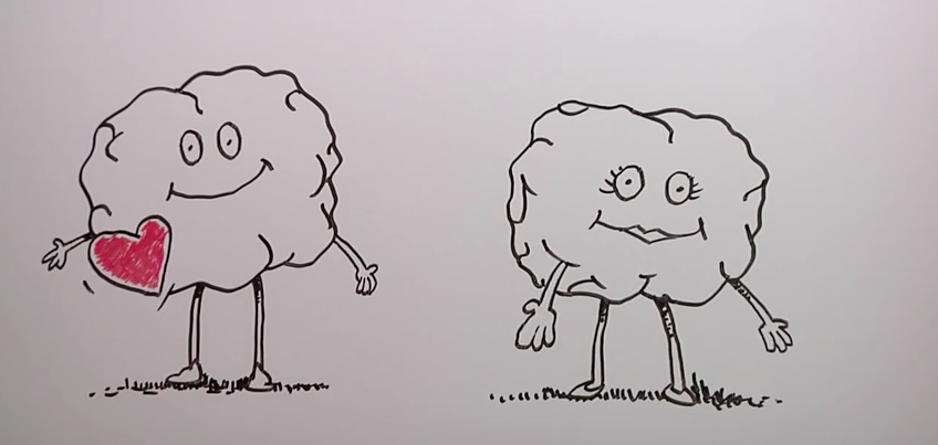 A 4-Minute Animated Video Course on Training Your Brain for Happiness