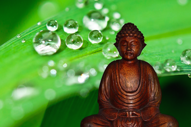 Stop Feeling Frazzled: A Powerful Guide to Reducing Stress (and a Giveaway!)