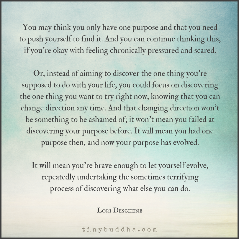 You May Thing You Only Have One Purpose