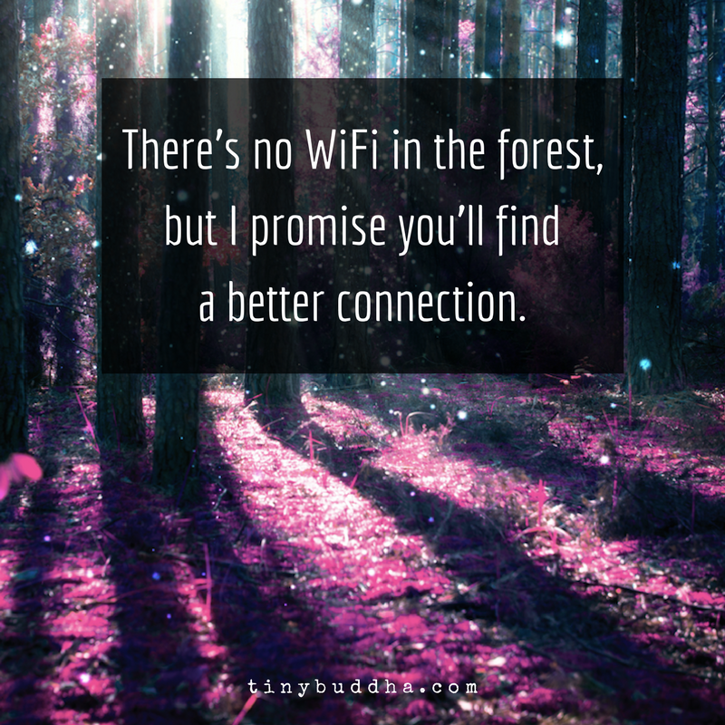 There’s No WiFi in the Forest But You’ll Find a Better Connection