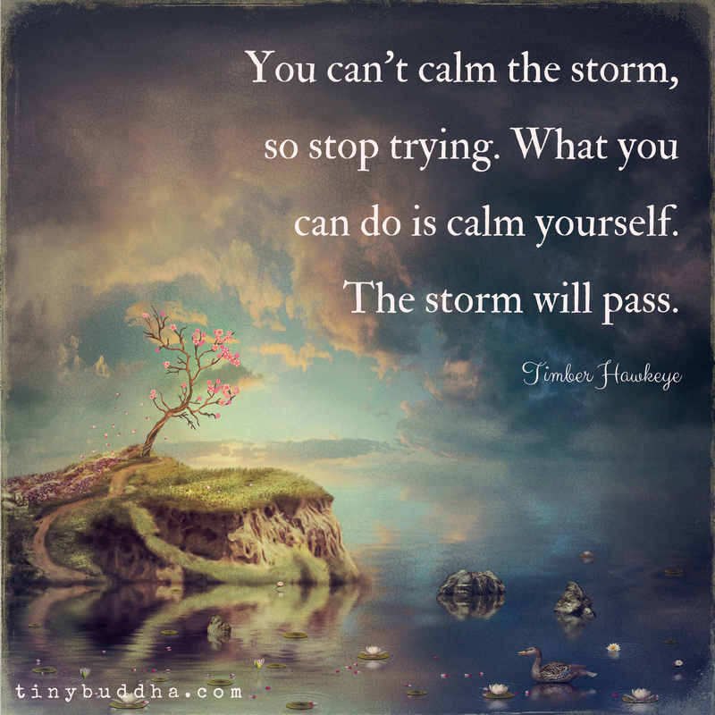 You Can’t Calm the Storm