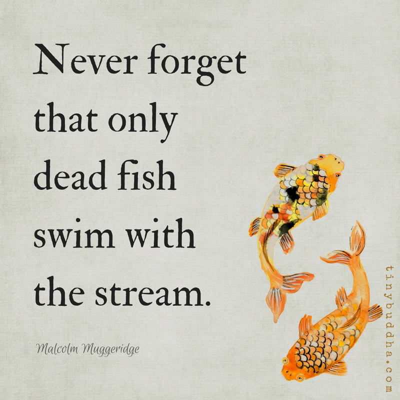 Never Forget That Only Dead Fish Swim with the Stream