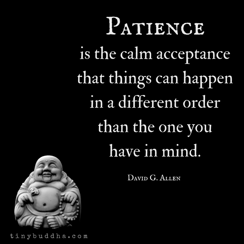 Patience Is the Calm Acceptance That…