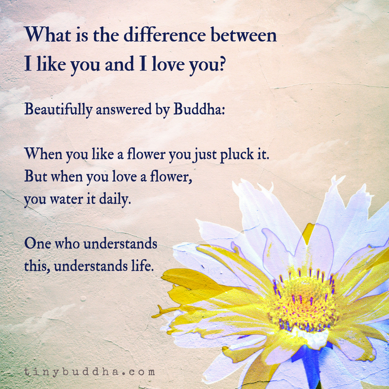 The Difference Between Like and Love