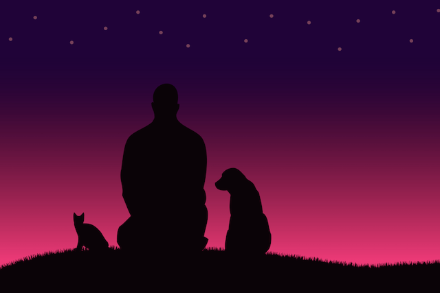 Made a Big Mistake? What to Do Instead of Beating Yourself Up