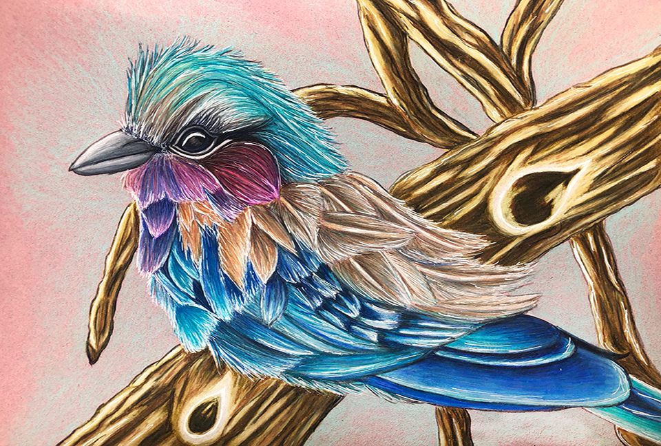 Lilac Breasted Roller by Sheri Norlund