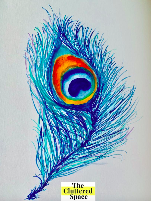 Peacock Feather by Sneha