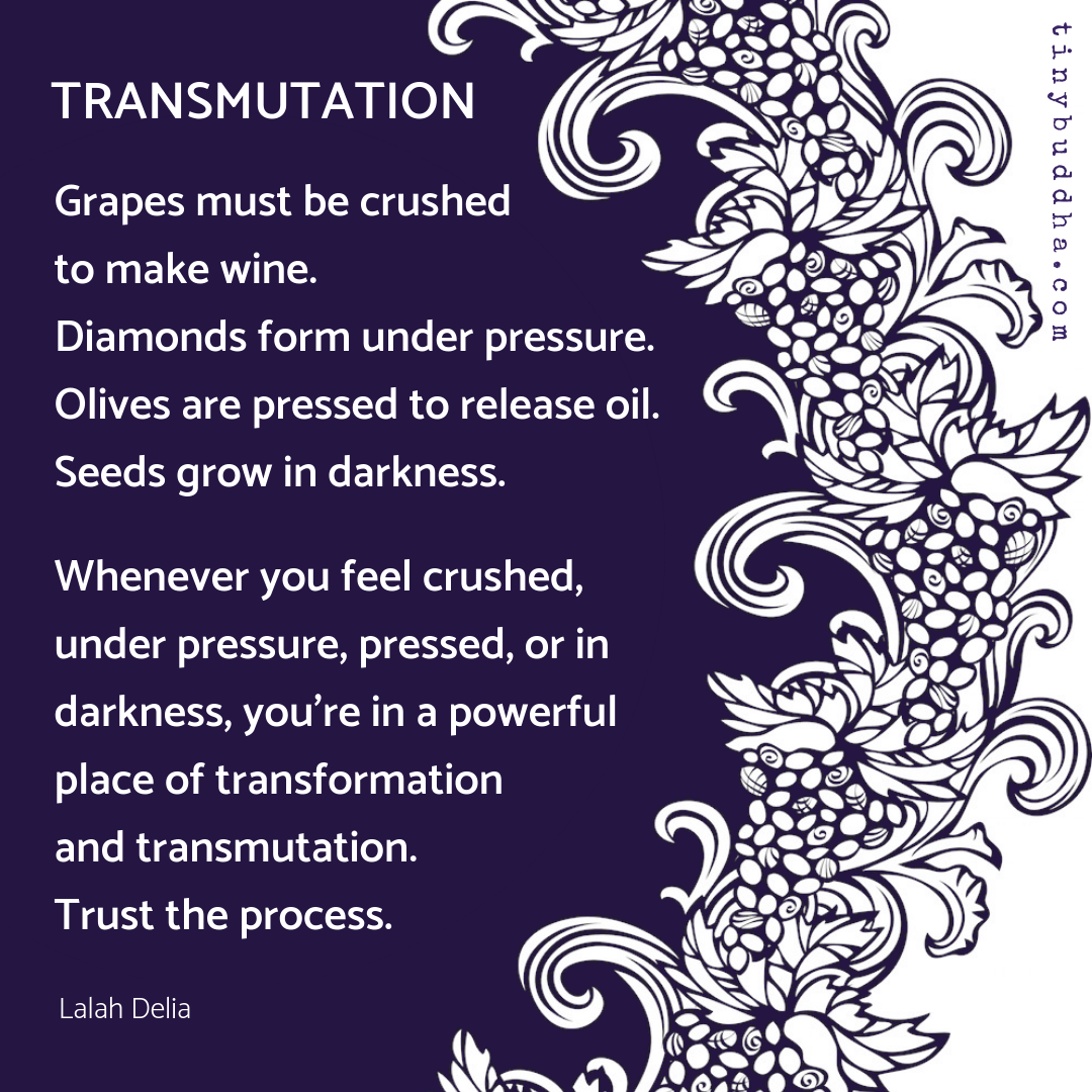 You’re in a Powerful Place of Transformation