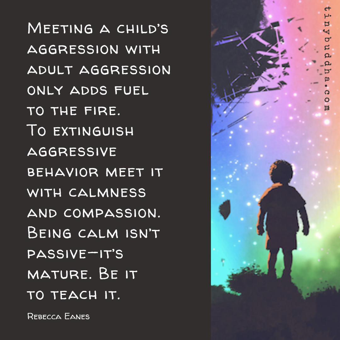 Meeting a Child’s Aggression with Adult Aggression Only Adds Fuel to the Fire