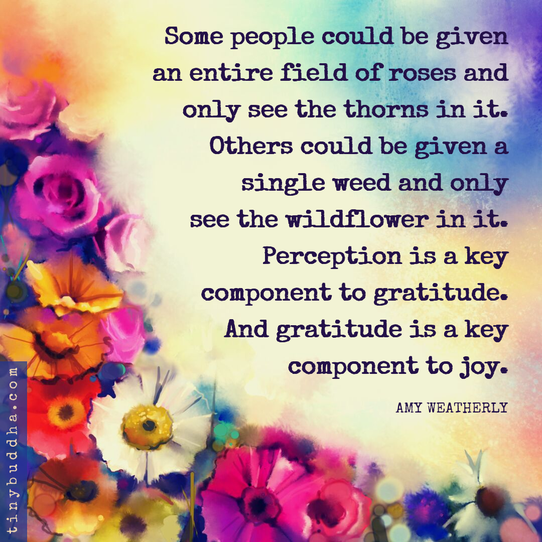Gratitude Is a Key Component to Joy
