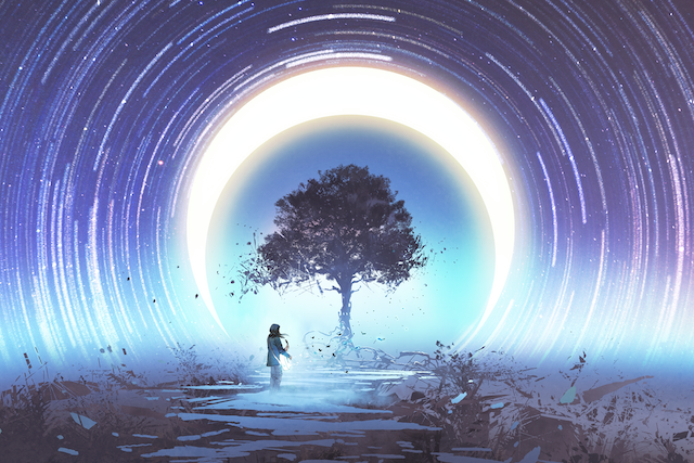 When You’re Tired of Trying: Lessons in Mindfulness from a Woodpecker