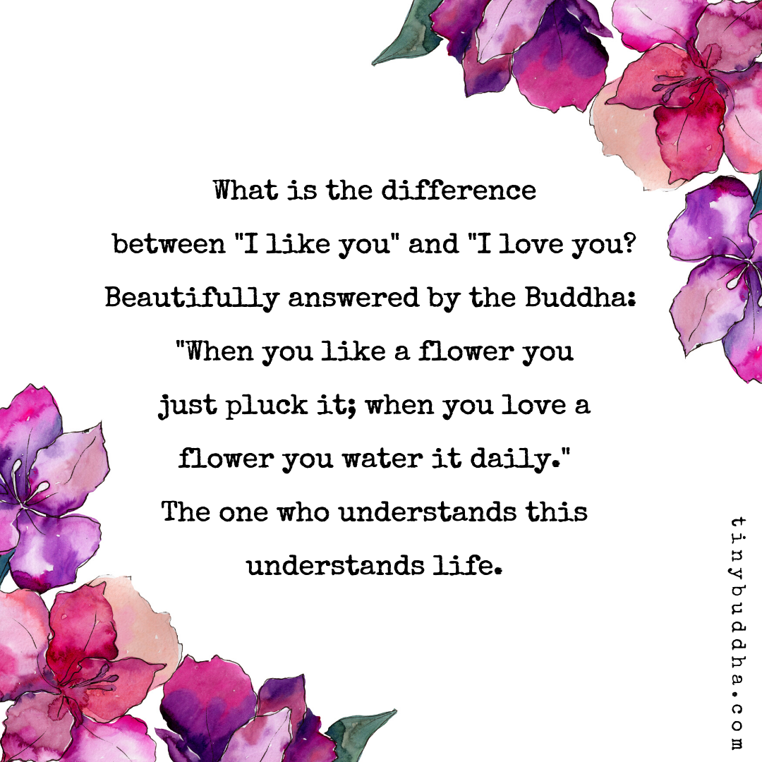 The Difference Between Like and Love