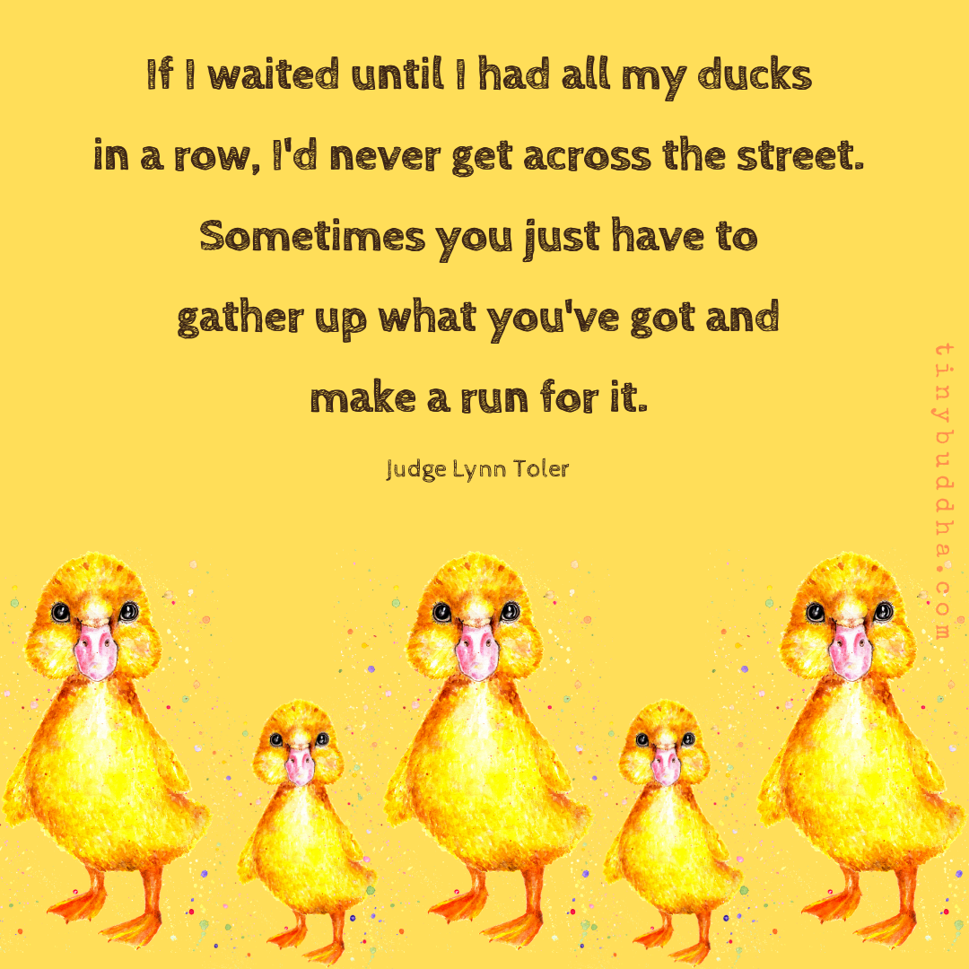 If I Waited Until I Had All My Ducks in a Row