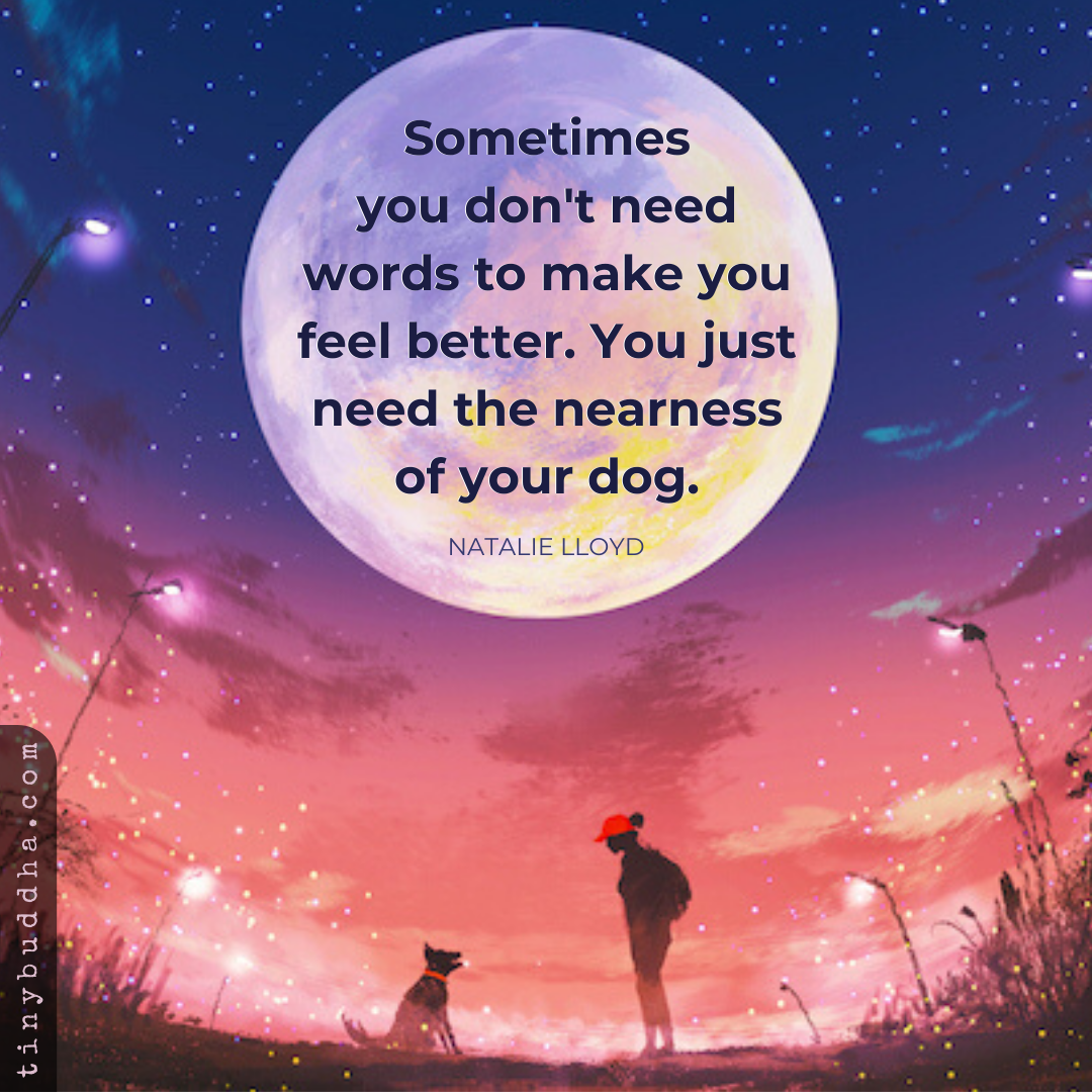 The Nearness of Your Dog