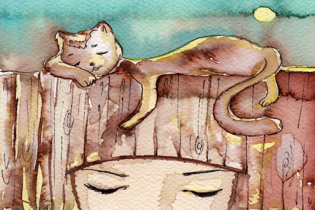 What I Learned About Love and Grief When I Lost My Cats