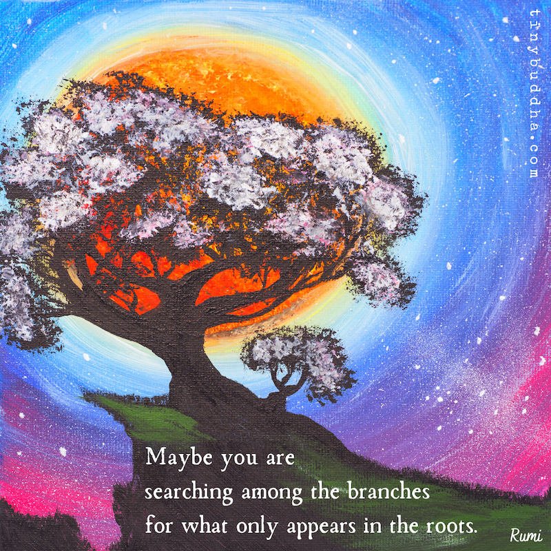 What Only Appears in the Roots