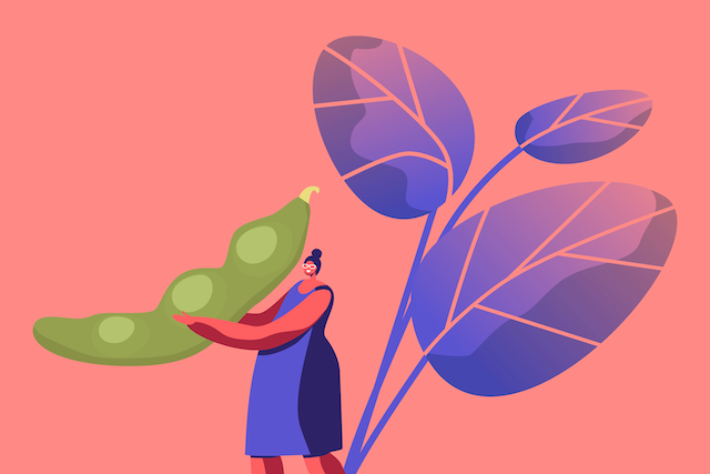 How I Stopped Obsessing About the Wrong Things to Stay Healthy