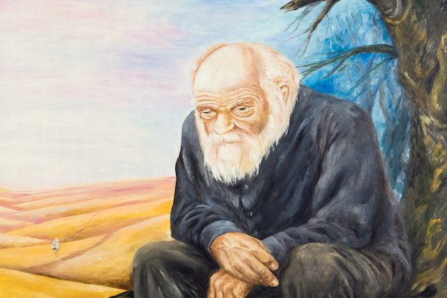 How Resentment Affects Your Health and How to Forgive