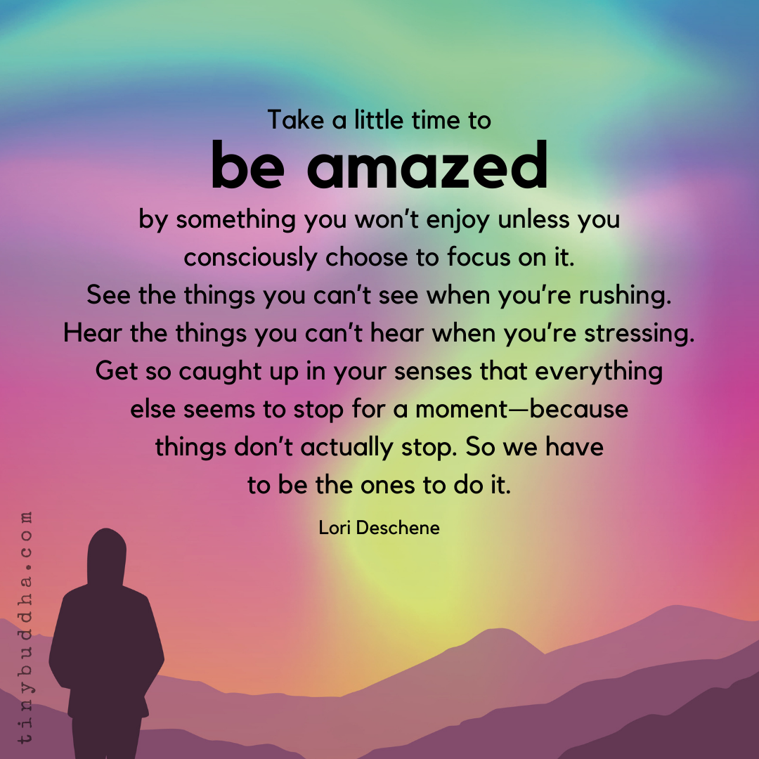 Take a Little Time to Be Amazed
