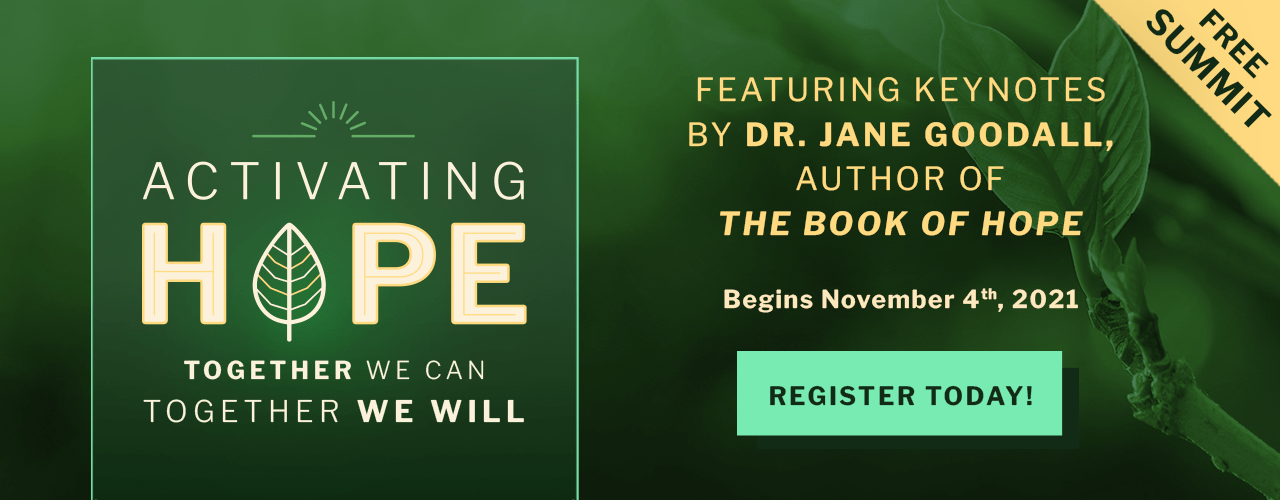FREE Online Summit, Activating Hope, Starts on Thursday!