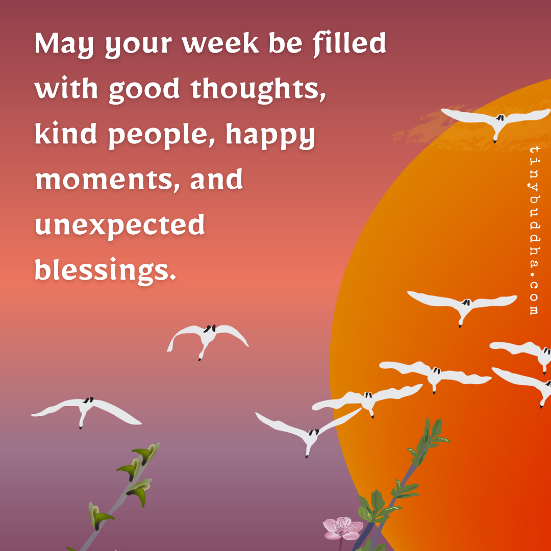 May Your Week Be Filled With…