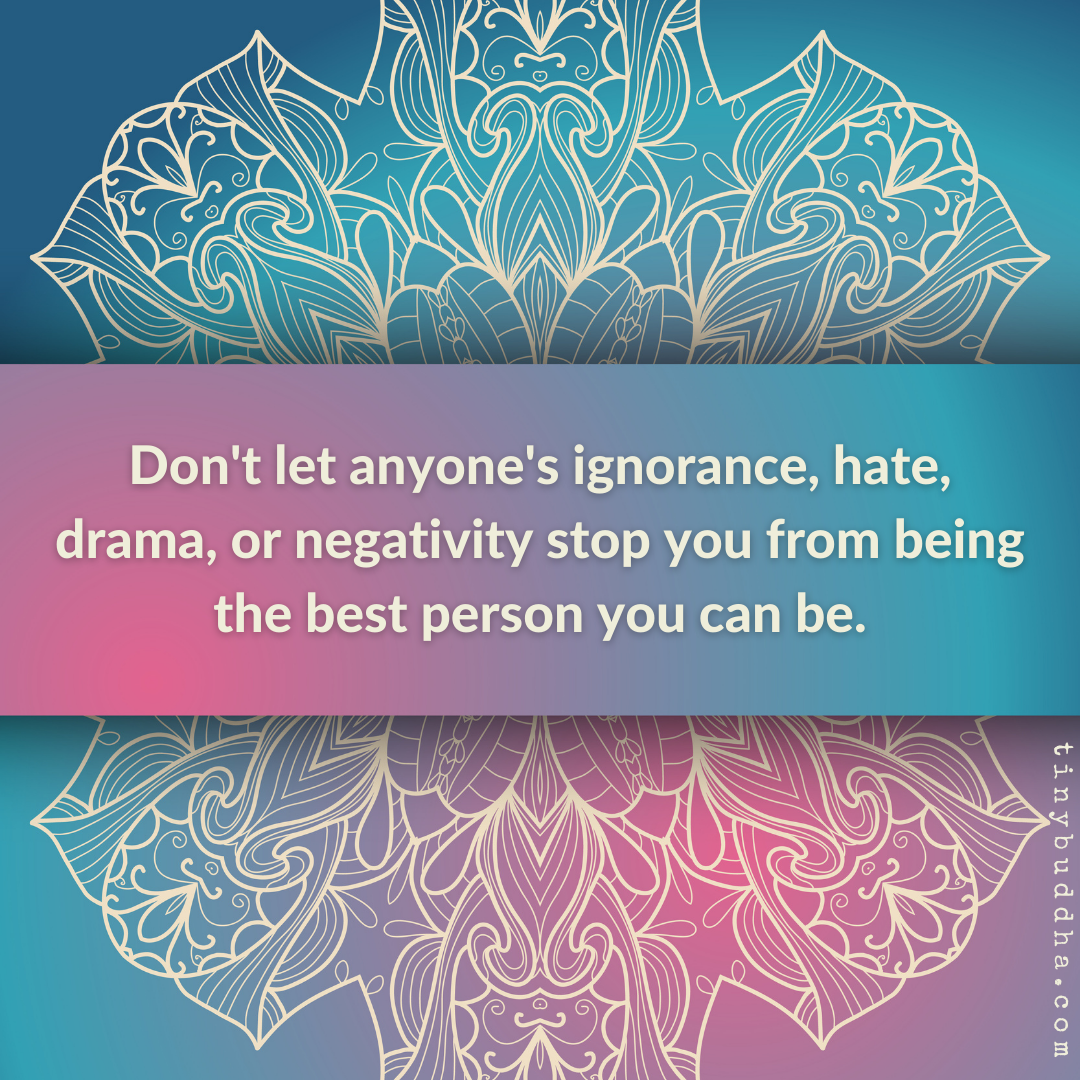 Don’t Let Anyone’s Ignorance, Hate, Drama, or Negativity…