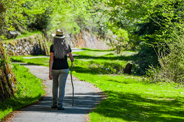 Practical Pathways to Inner Peace: A Free Video Series for Inner Calm