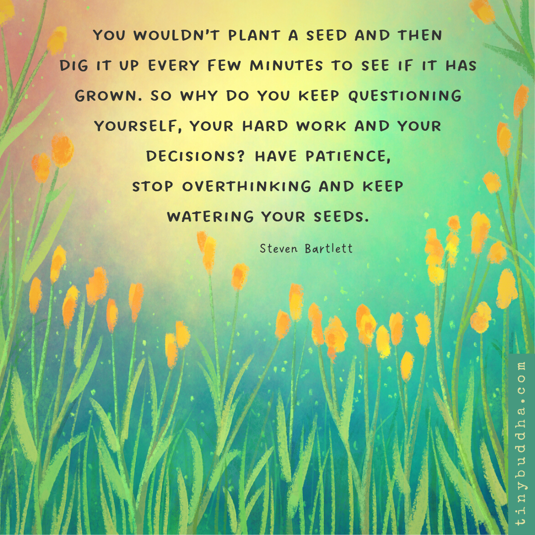 Keep Watering Your Seeds