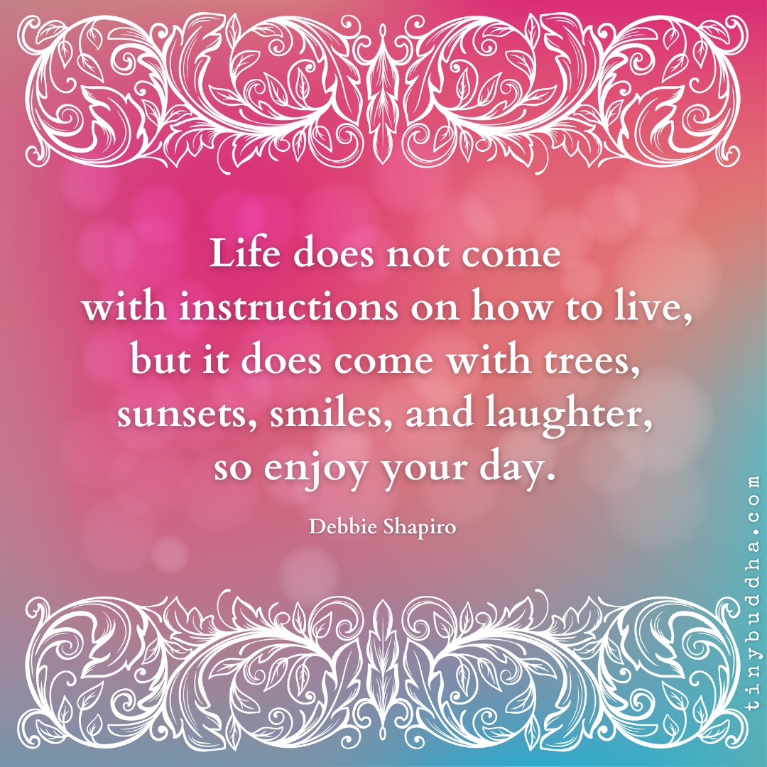 Life Does Not Come with Instructions on How to Live