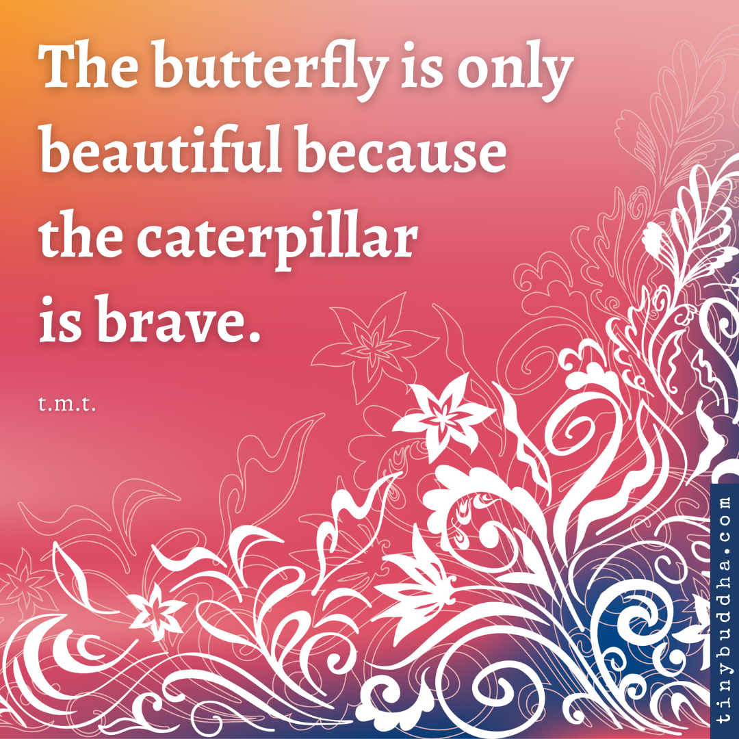 The Butterfly Is Only Beautiful Because…