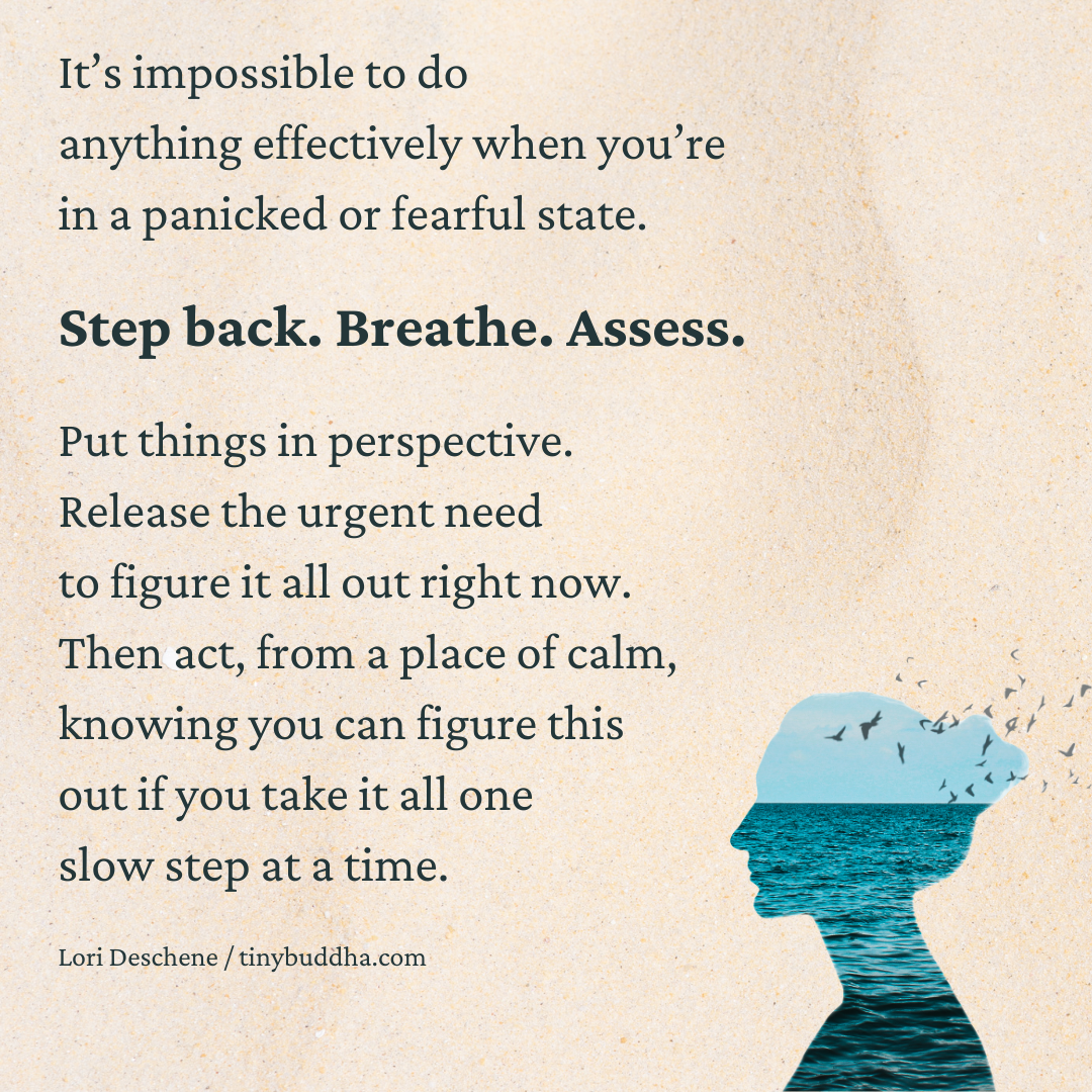 Step Back, Breathe, Assess