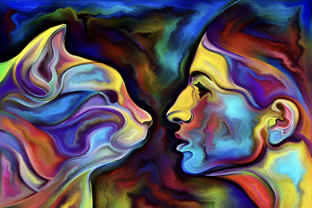 How This Dog Person Learned to Embrace Her Inner Cat