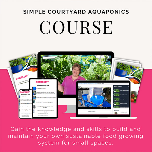 aquaponics Simple Courtyard Aquaponics Course