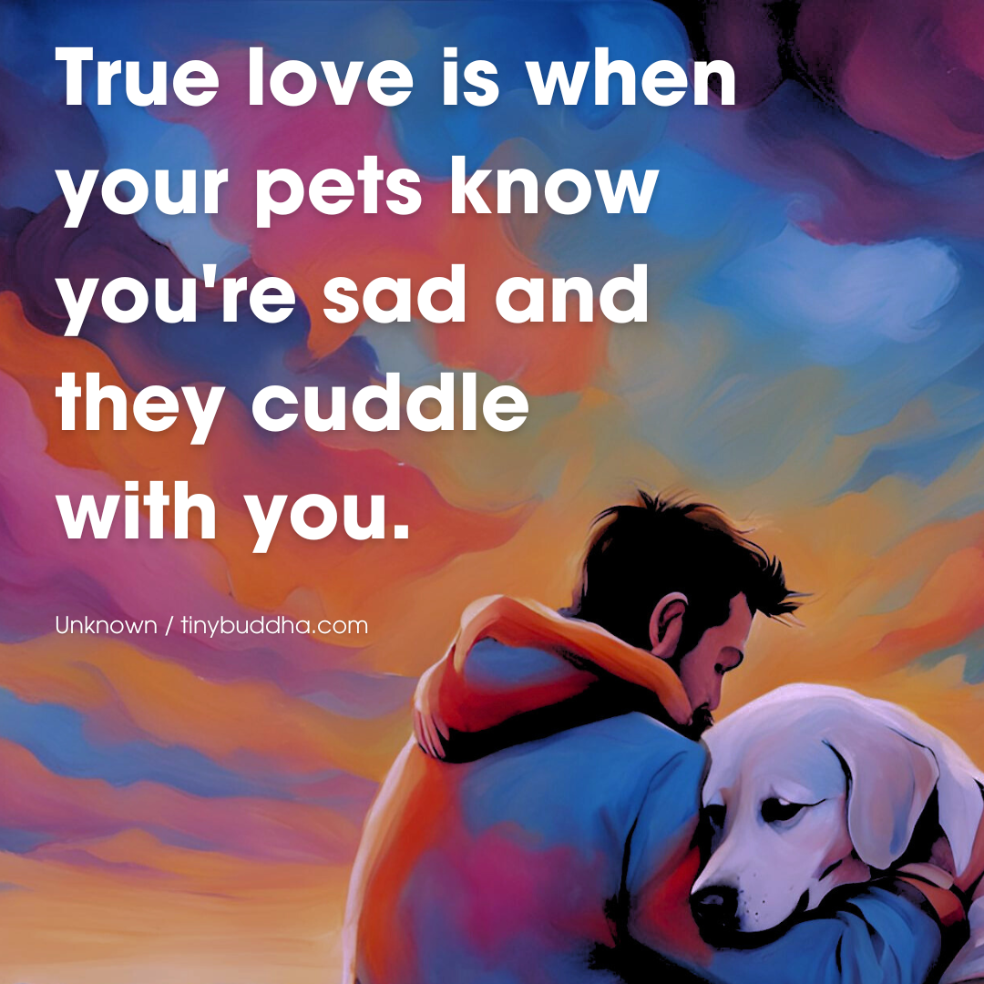 True Love Is When…