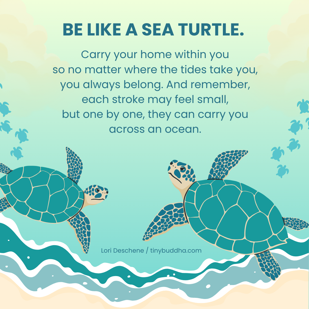 Be Like a Sea Turtle