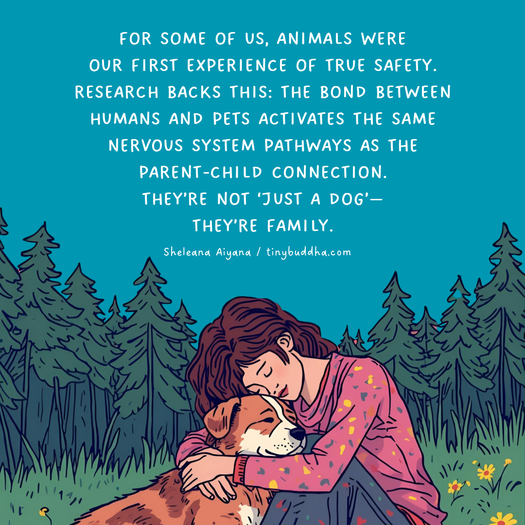 True Safety with Animals